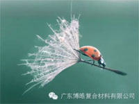 【博皓感悟】成功，要“借力”，不要“盡力”